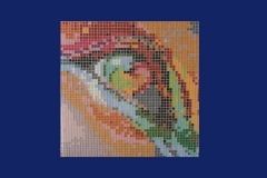 Voir la vie en couleurs